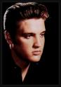 Elvis-Forever Foto-Gallerie